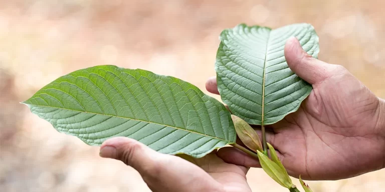 What are the general dosage guidelines for Kratom?